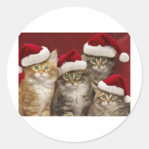 Christmas cats classic round sticker