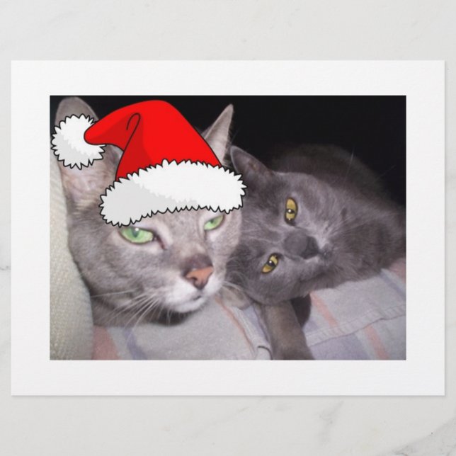 Christmas Cats Flyer (Front)