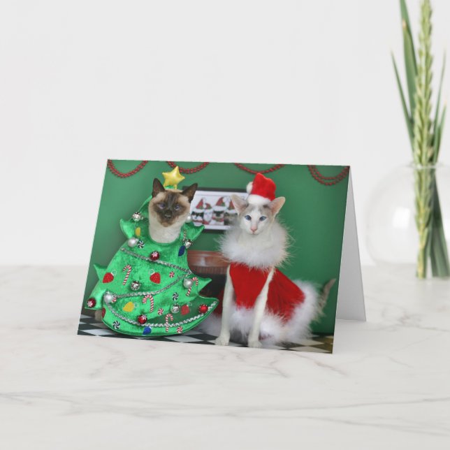 Christmas Cats Holiday Card (Front)