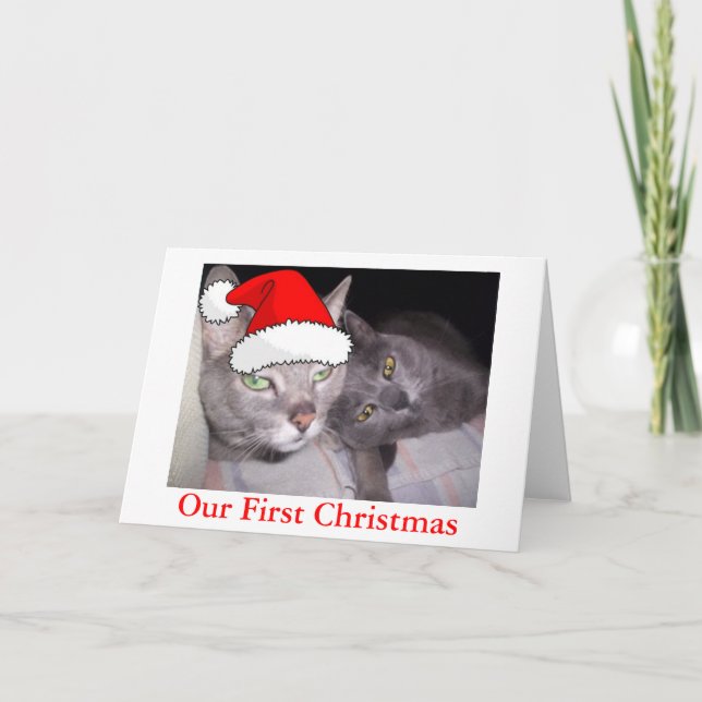 Christmas Cats Holiday Card (Front)