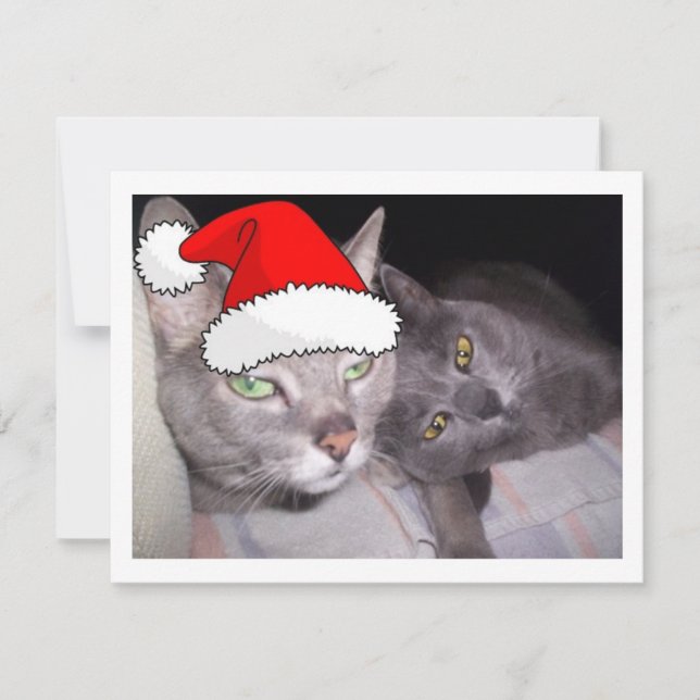 Christmas Cats Holiday Card (Front)