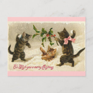 Christmas Cats Holiday Postcard