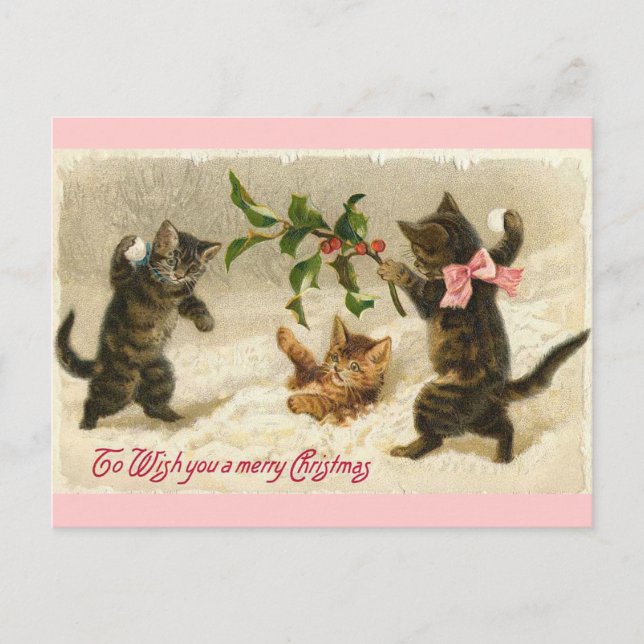 Christmas Cats Holiday Postcard (Front)