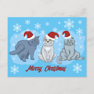 Christmas cats Merry Christmas Holiday Postcard