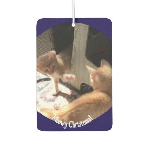Christmas , Cats Photo ,  Car Air Freshener