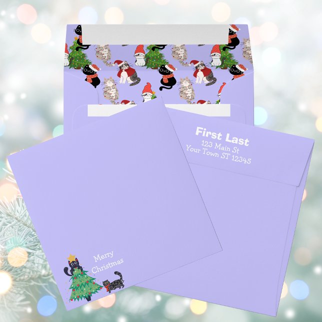 Christmas Cats Square Envelope (Christmas Cats Square Envelope)