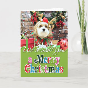 Christmas - Cavachon - Max Holiday Card