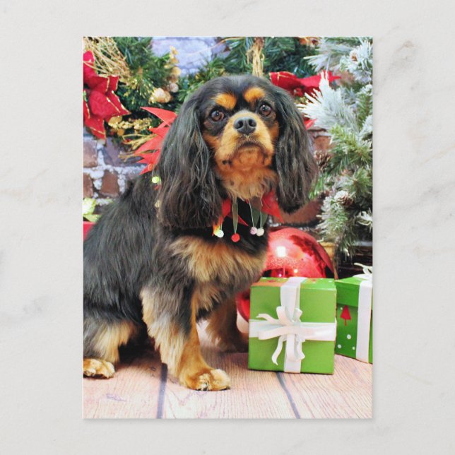 Christmas - Cavalier - Charlie Holiday Postcard (Front)
