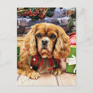 Christmas - Cavalier King Charles Spaniel - Lily Holiday Postcard