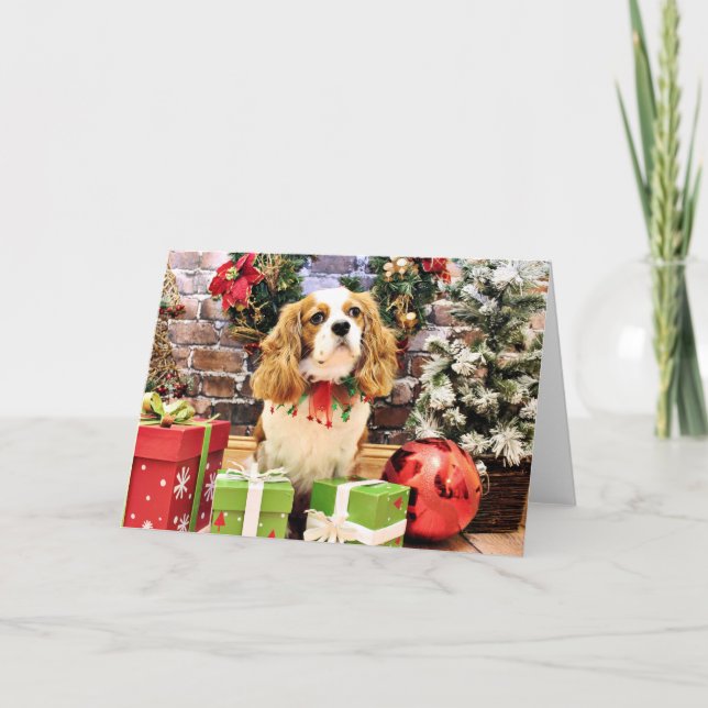 Christmas - Cavalier King Charles Spaniel Maverick Holiday Card (Front)