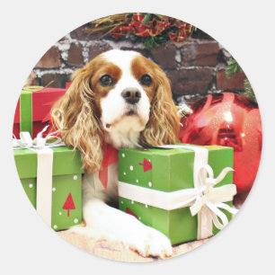 Christmas - Cavalier King Charles Spaniel - Poppy Classic Round Sticker