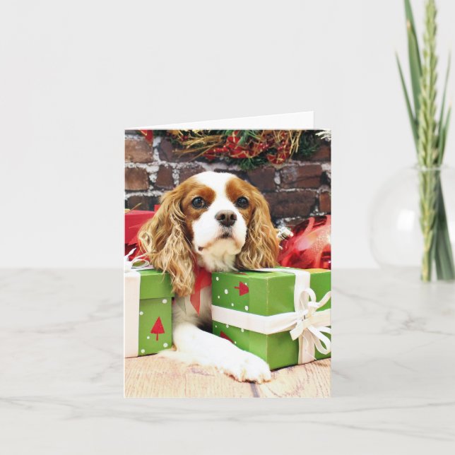 Christmas - Cavalier King Charles Spaniel - Poppy Holiday Card (Front)