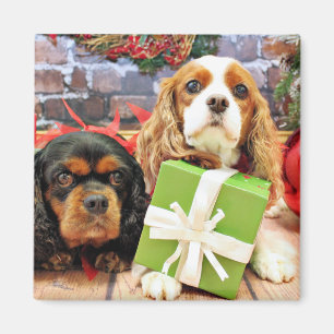Christmas - Cavalier - Sweet Pea and Poppy Magnet