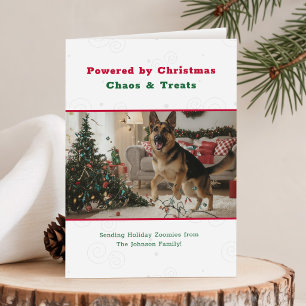 Christmas Chaos and Treats Funny Pet Dog Photo Holiday Card