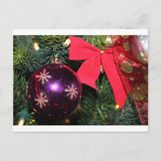 Christmas Cheer Holiday Postcard