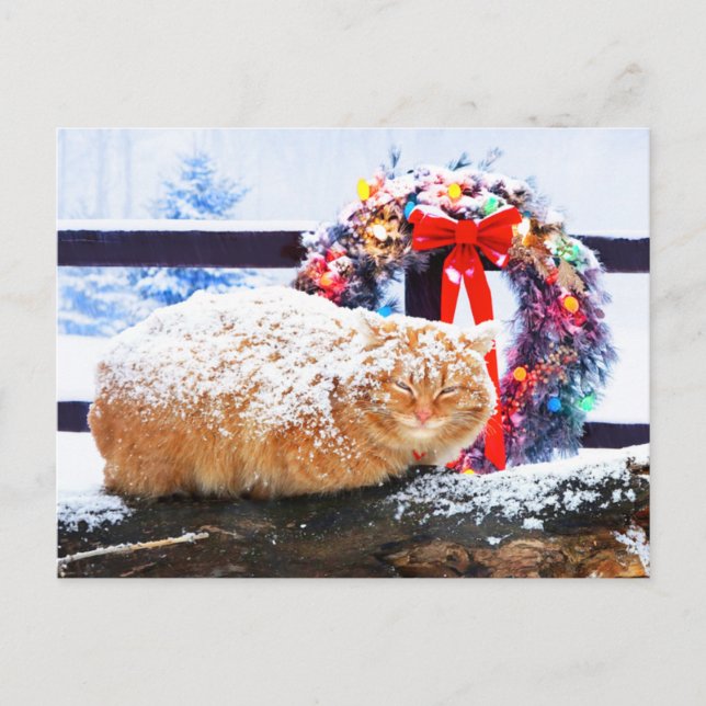"Christmas Cheeto"  Postcard (Front)
