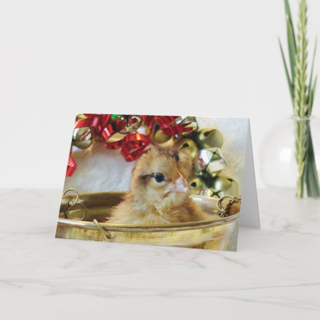 Christmas Chick Holiday Card (Front)