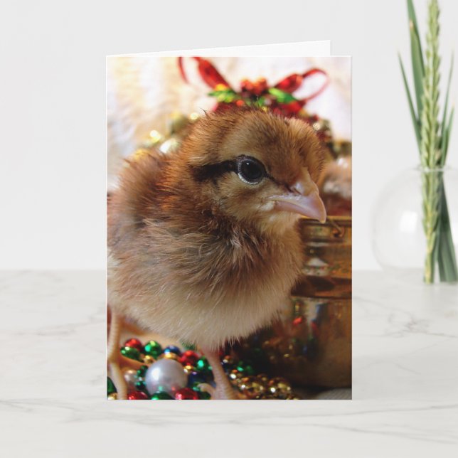 Christmas Chick Holiday Card (Front)