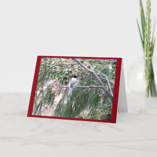 Christmas Chickadee Greeting Card
