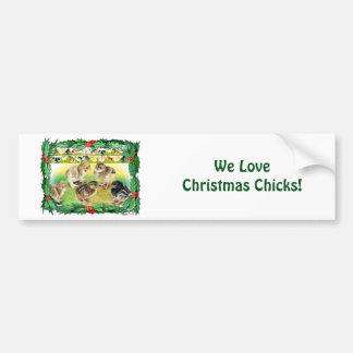 Christmas Chicks Bumper Sticker