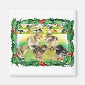 Christmas Chicks Magnet