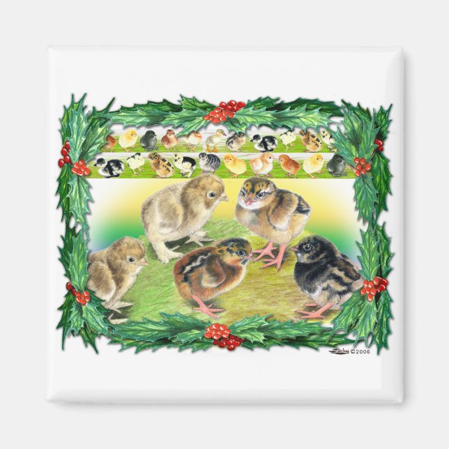 Christmas Chicks Magnet (Front)