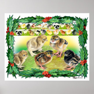 Christmas Chicks Poster