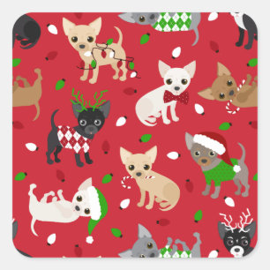 Christmas Chihuahua All Coats Square Sticker