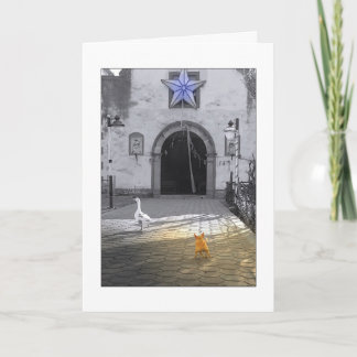 CHRISTMAS CHIHUAHUA CARD