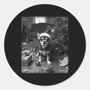 Christmas Chihuahua Caught On Camera Classic Round Sticker