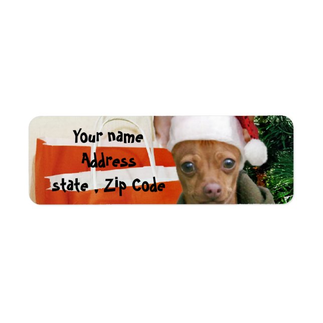 Christmas chihuahua dog (Front)