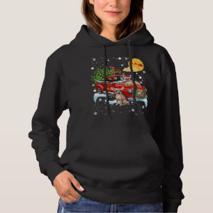Christmas Chihuahua Dog With Vintage Red Truck Fun Hoodie