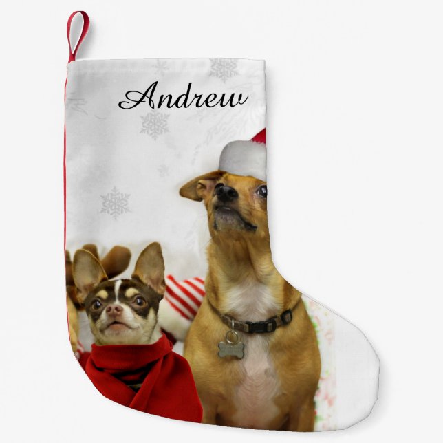Christmas Chihuahua dogs personalised stocking (Front)