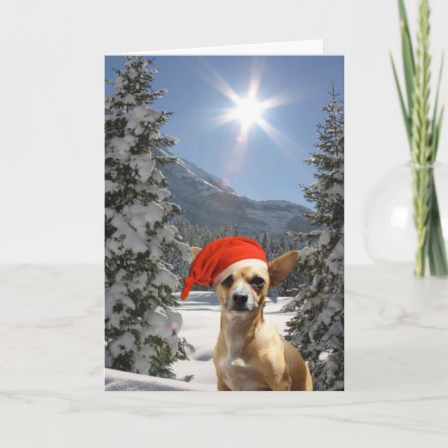 Christmas Chihuahua Holiday Card (Front)