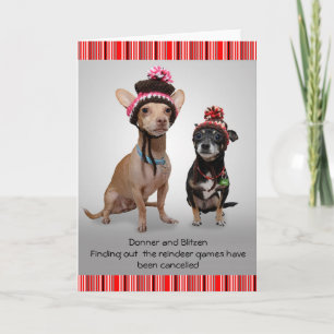 Christmas Chihuahua's Holiday Card