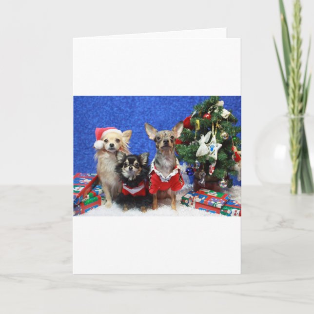 Christmas Chihuahuas Holiday Card (Front)