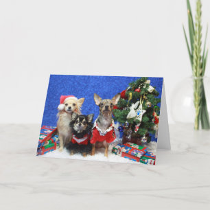 Christmas Chihuahuas Holiday Card