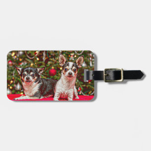 Christmas Chihuahua's Luggage Tag
