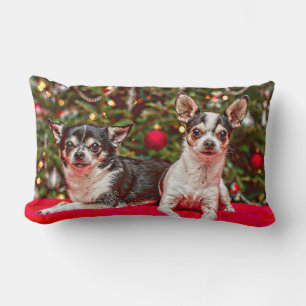 Christmas Chihuahua's Lumbar Cushion
