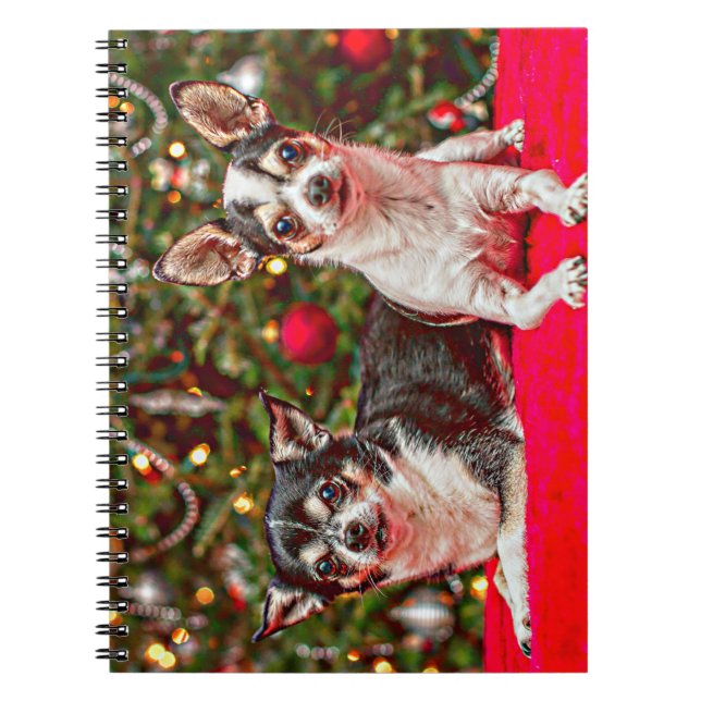 Christmas Chihuahua's Notebook (Front)