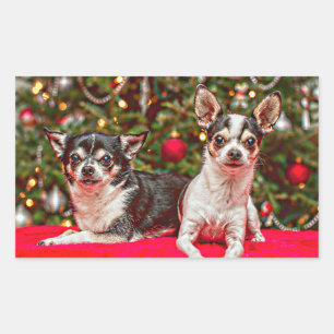 Christmas Chihuahua's Rectangular Sticker