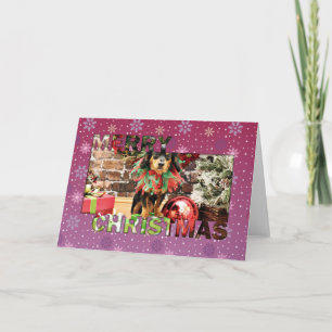 Christmas - Chiweenie - Titus Holiday Card