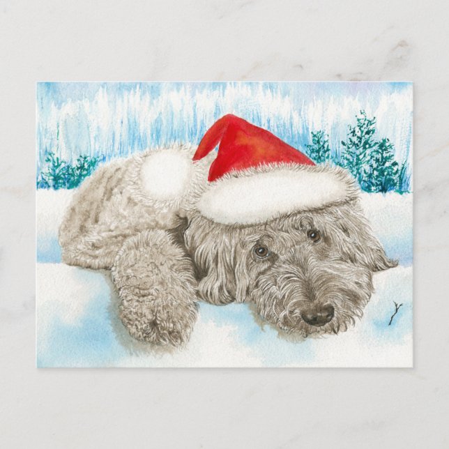 Christmas Chocolate Labradoodle Holiday Postcard (Front)