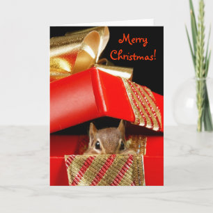 Christmas Christmas Surprise! Holiday Card