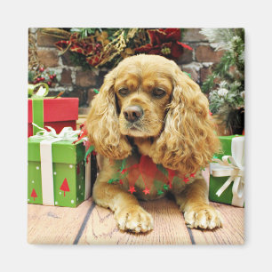 Christmas - Cockalier - Suzy Magnet