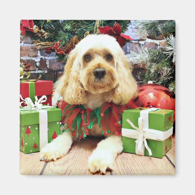 Christmas - Cockapoo - Buddy Magnet (Front)