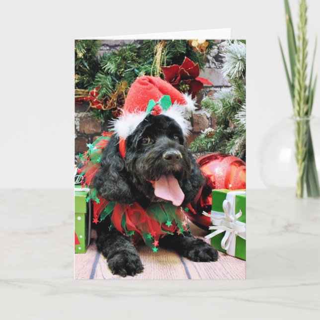 Christmas - Cockapoo - Jack Holiday Card (Front)