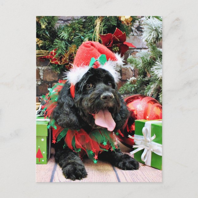 Christmas - Cockapoo - Jack Holiday Postcard (Front)