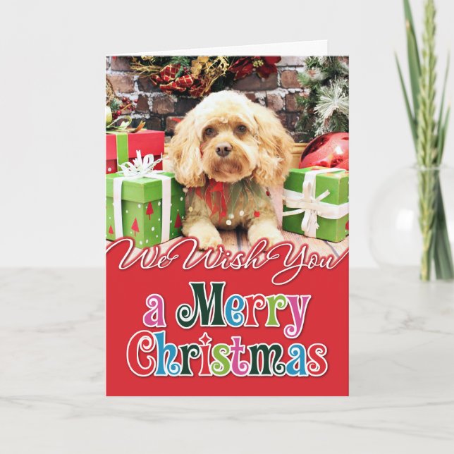 Christmas - Cockapoo - Morgan Holiday Card (Front)