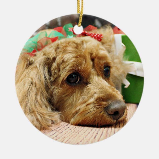 Christmas - Cockapoo - Odie Ceramic Tree Decoration (Front)